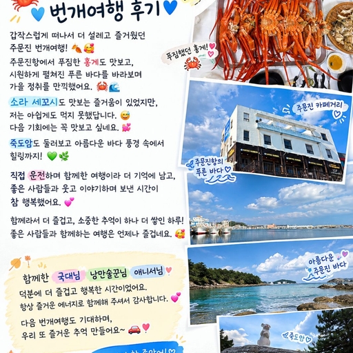 피드 이미지