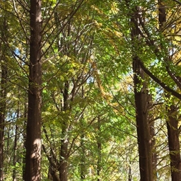 피드에 업로드 된 이미지