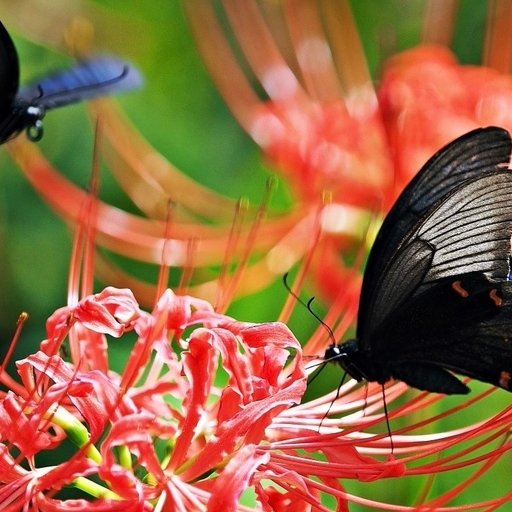 모임 대표 이미지