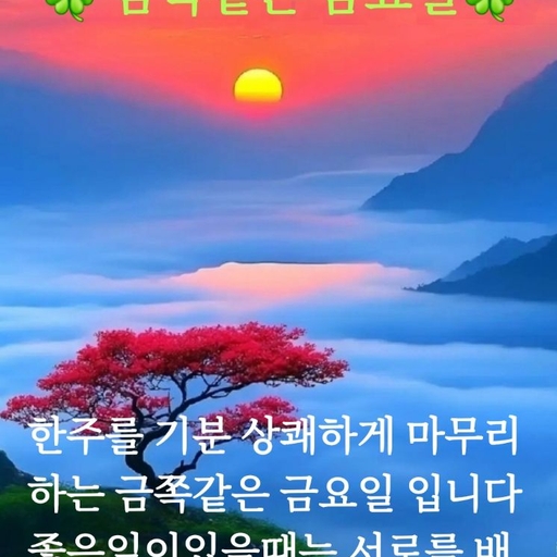 피드 이미지