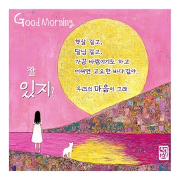 피드에 업로드 된 이미지