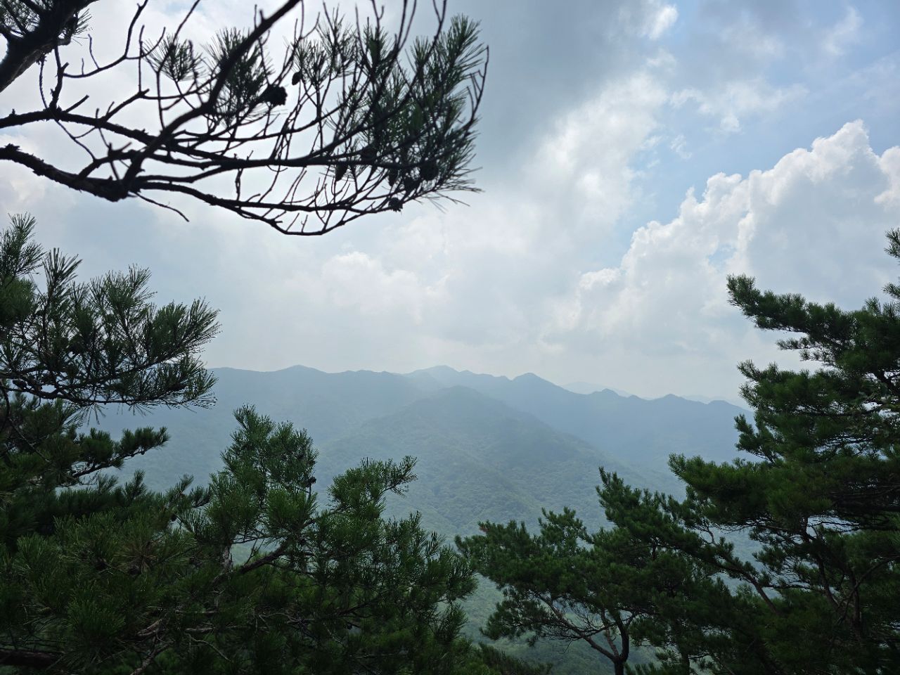 피드 이미지