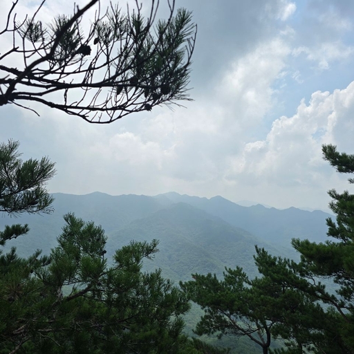 피드 이미지