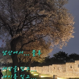 피드에 업로드 된 이미지