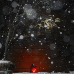 피드에 업로드 된 이미지