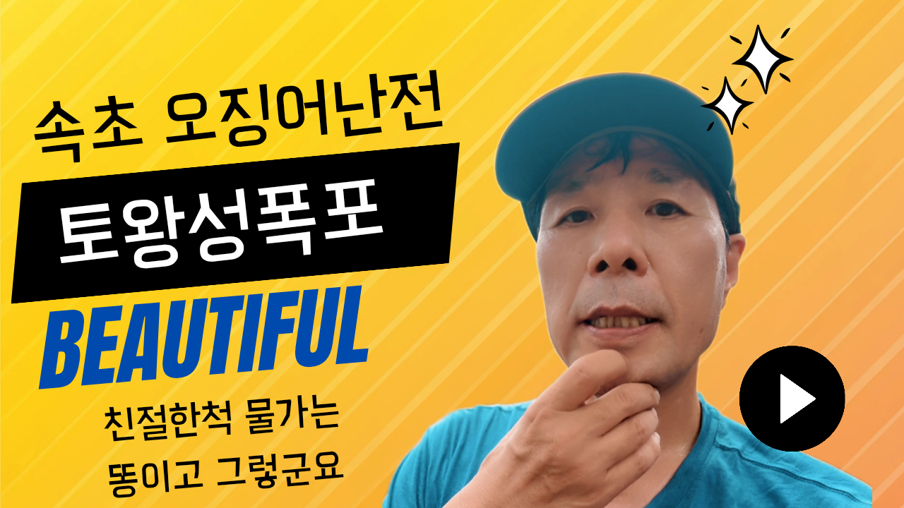 피드 이미지