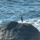 참가 유저 프로필