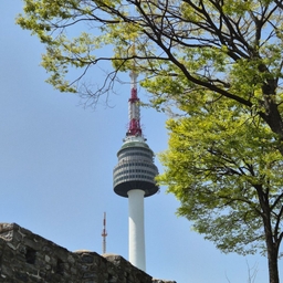 피드에 업로드 된 이미지