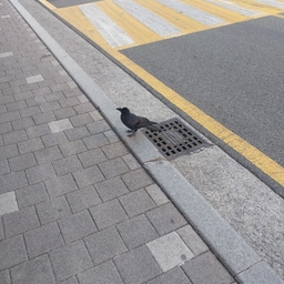 피드에 업로드 된 이미지