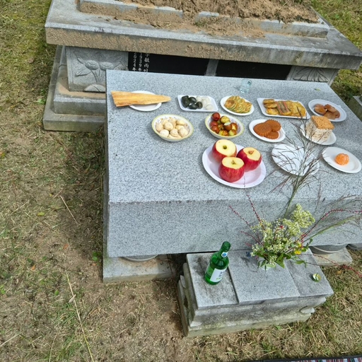 피드 이미지