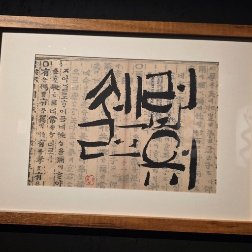 피드 이미지