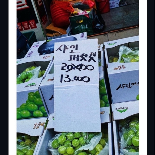 피드 이미지