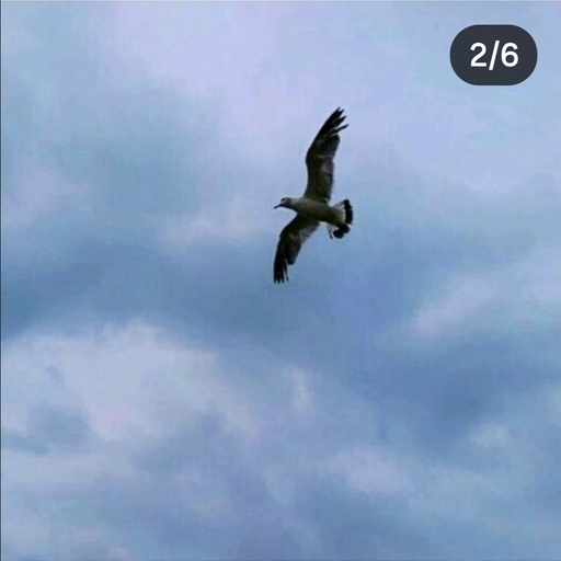 피드 이미지