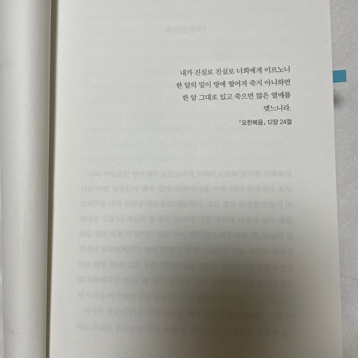 피드 이미지