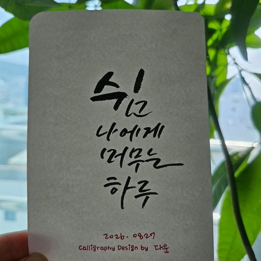 피드 이미지
