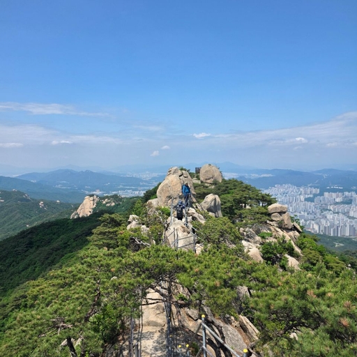 피드 이미지