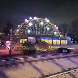 피드에 업로드 된 이미지