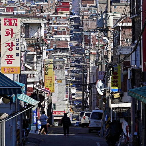 피드 이미지