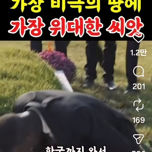 피드 이미지