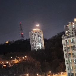 피드에 업로드 된 이미지