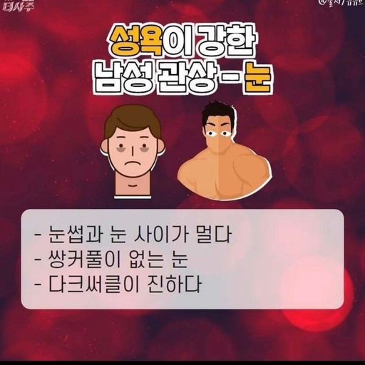 피드 이미지