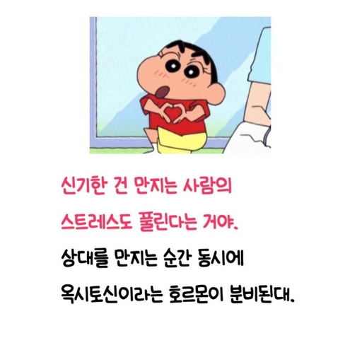 피드 이미지