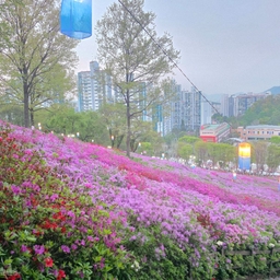 피드에 업로드 된 이미지
