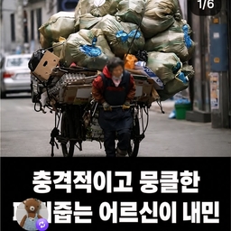 피드에 업로드 된 이미지