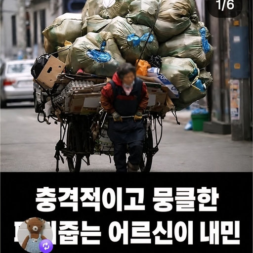 피드 이미지