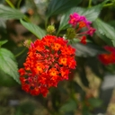 공지사항 작성자 프로필