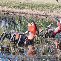 피드에 업로드 된 이미지