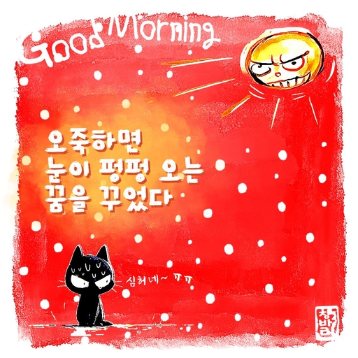 피드 이미지