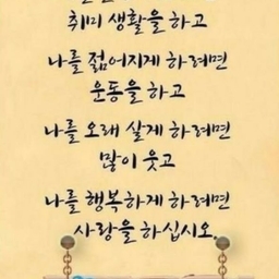 피드에 업로드 된 이미지