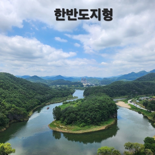 피드 이미지