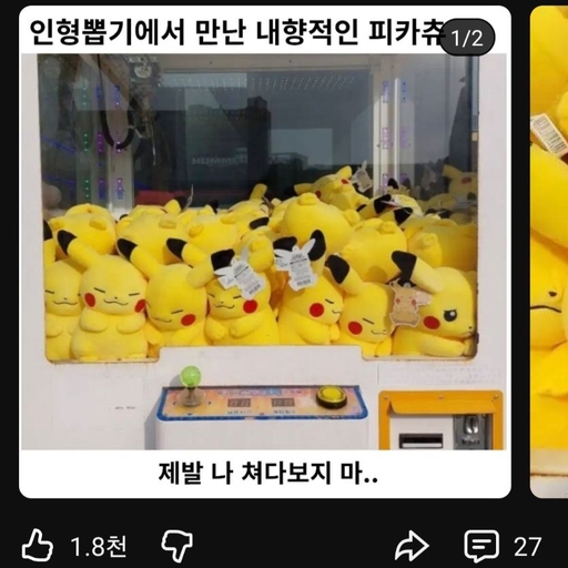 피드 이미지
