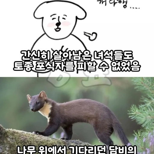피드 이미지