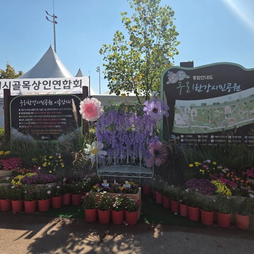 피드 이미지