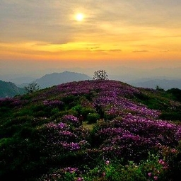 피드에 업로드 된 이미지