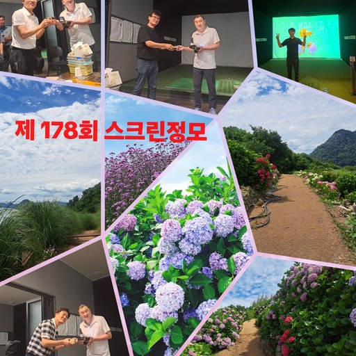 피드 이미지