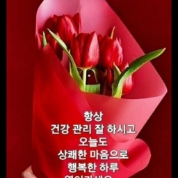 피드에 업로드 된 이미지