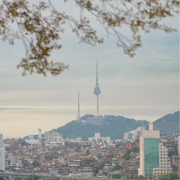 피드에 업로드 된 이미지