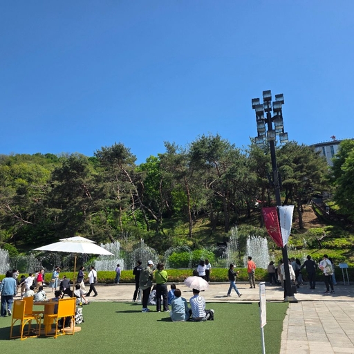 피드 이미지