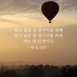 피드에 업로드 된 이미지