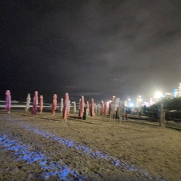 ํผ๋์ ์
๋ก๋ ๋ ์ด๋ฏธ์ง