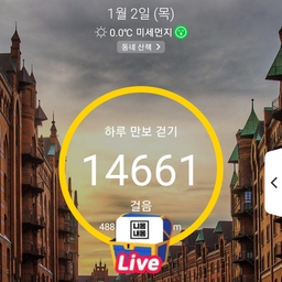 피드에 업로드 된 이미지