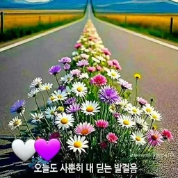 피드에 업로드 된 이미지