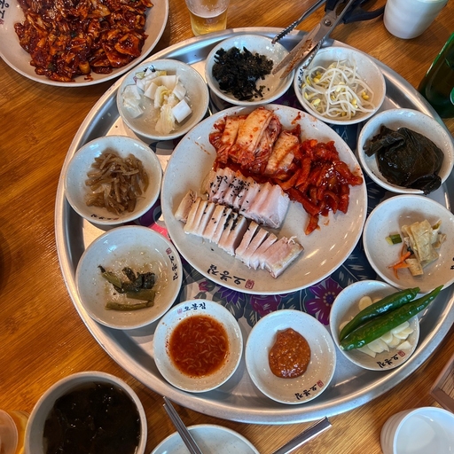 피드 이미지