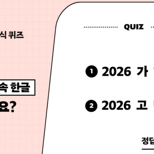 피드 이미지