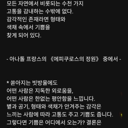 피드에 업로드 된 이미지