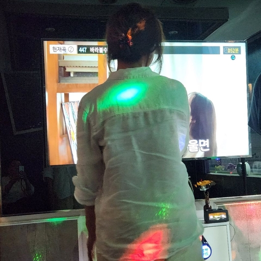 피드 이미지